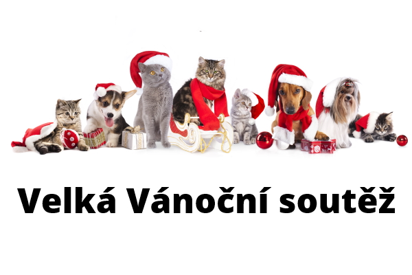 Vánoční soutěž