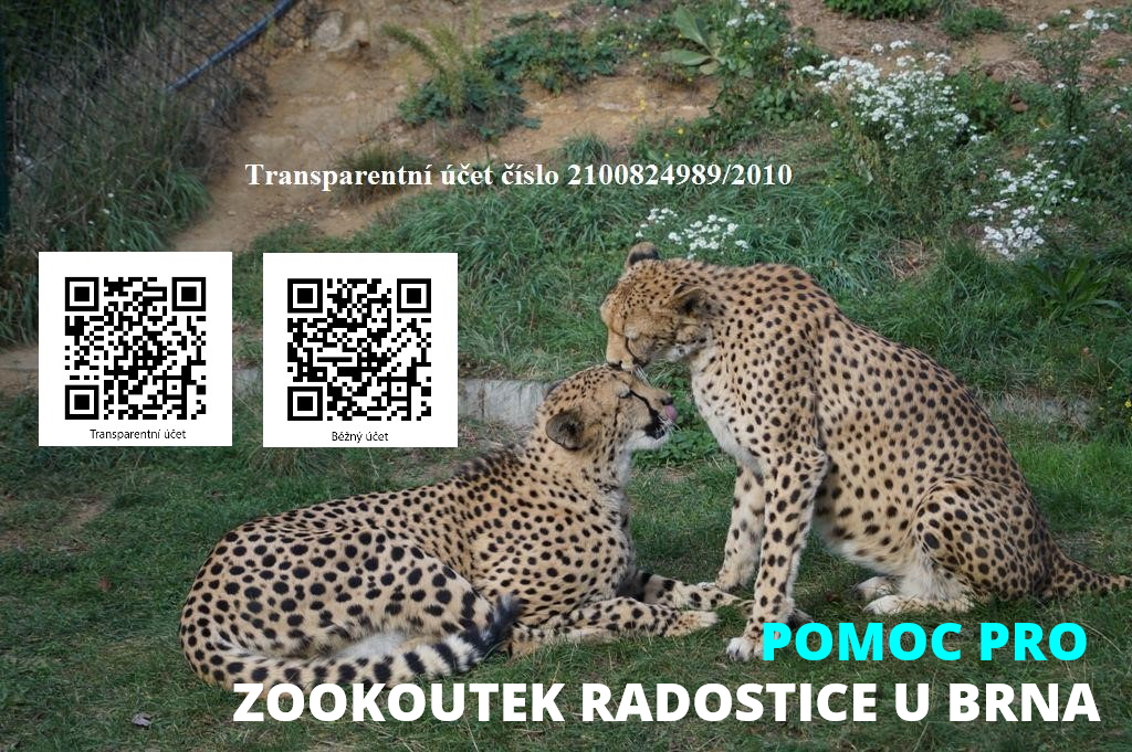 sbírka pro Zookoutek