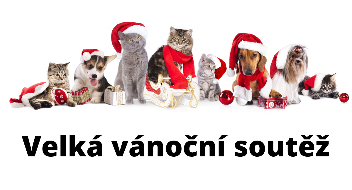 velka vanocni soutez