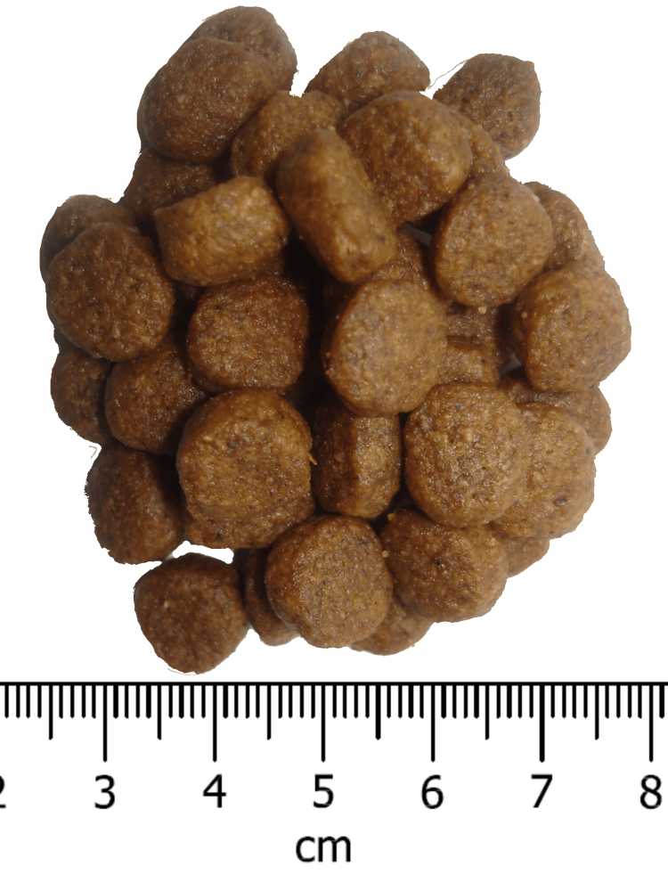 OPTIMAnova dog ADULT MINI 2kg-11076