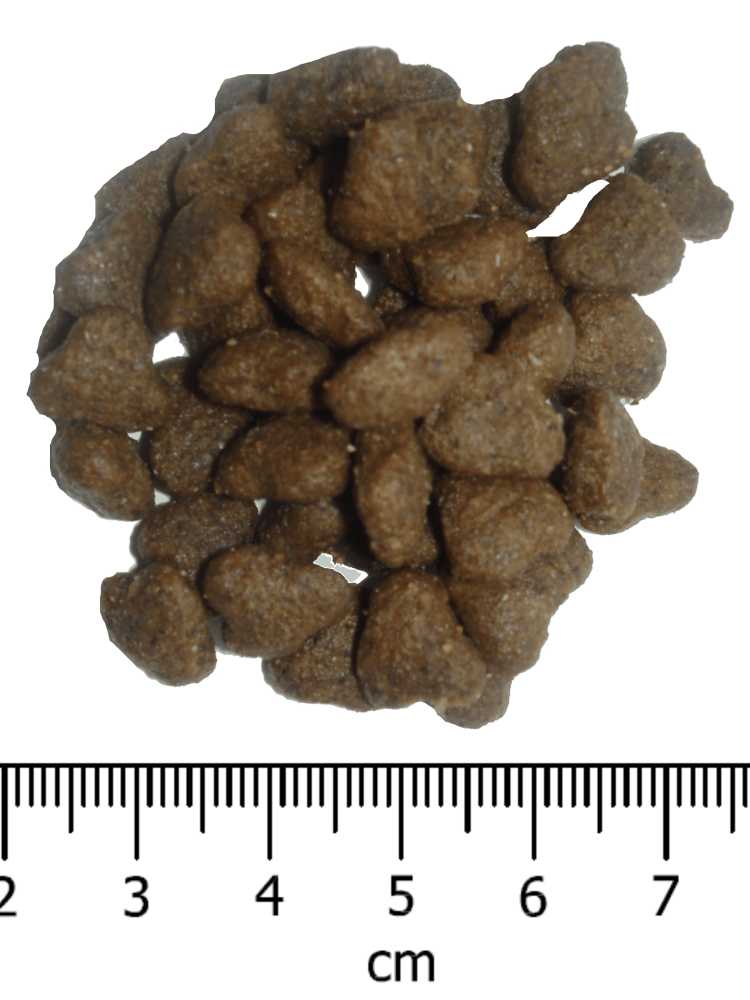 OPTIMAnova dog PUPPY SENSITIVE GF Salmon 12kg-11091