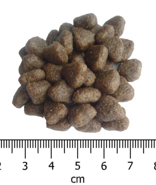 OPTIMAnova dog ADULT MINI SENSIT. GF Salmon 2kg-11720
