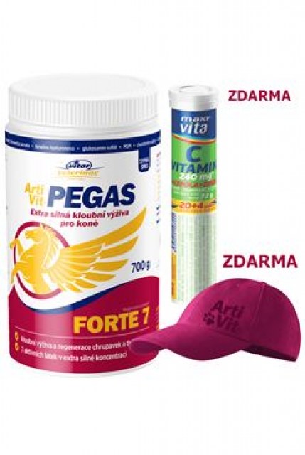 VITAR Veterinae ArtiVit Pegas Forte 7 prášek 700g