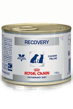 Royal Canin VD Fel / Can Recovery 195g konz